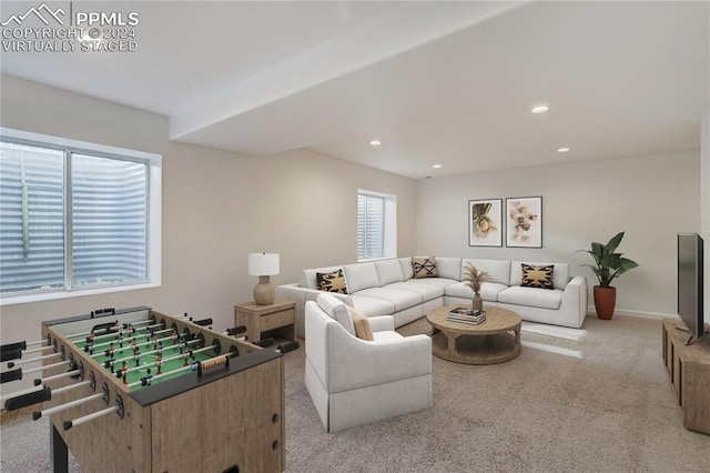 carpeted living room featuring a wealth of natural light