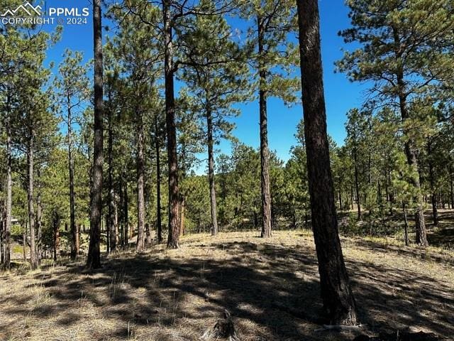 14731 Quartz Creek Dr, Colorado Springs CO, 80908 land for sale