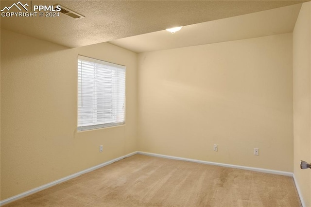 spare room featuring light colored carpet and a textured ceiling