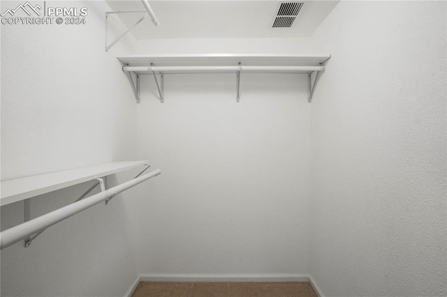 spacious closet with carpet floors