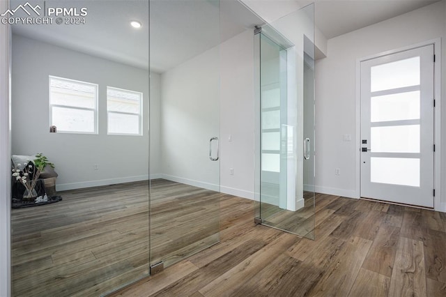 foyer with hardwood / wood-style flooring