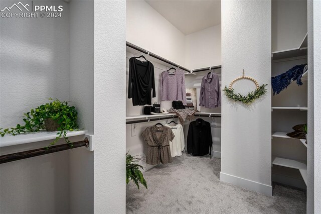 walk in closet featuring light carpet