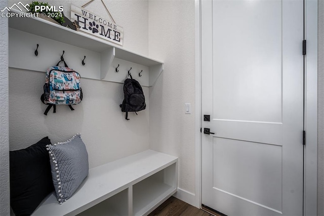 mudroom with dark hardwood / wood-style floors