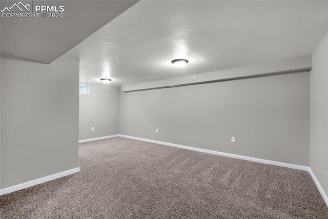 basement featuring carpet