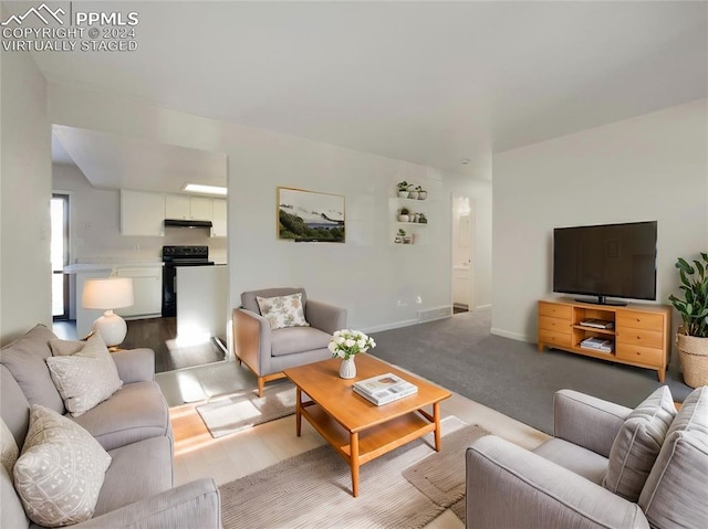 living room featuring light wood-type flooring