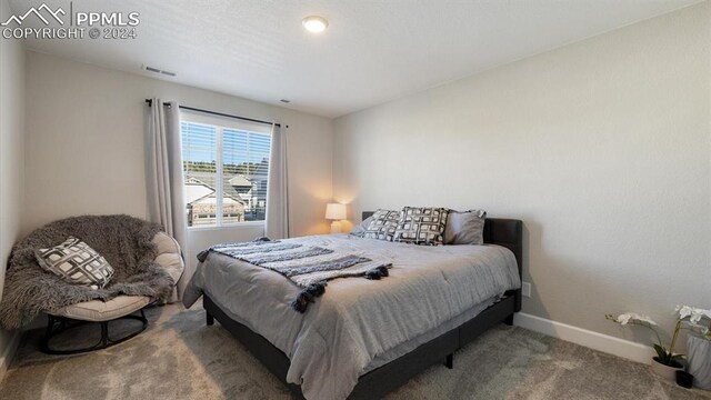 view of carpeted bedroom