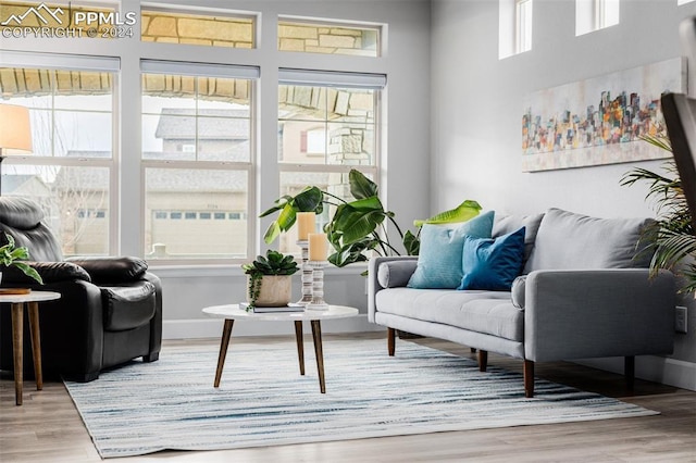 living area with wood-type flooring