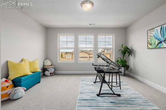 office area featuring carpet flooring