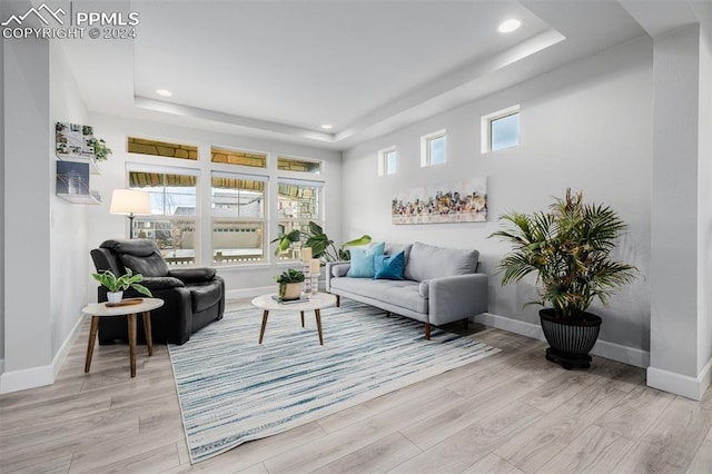 living room featuring a tray ceiling and light wood-type flooring