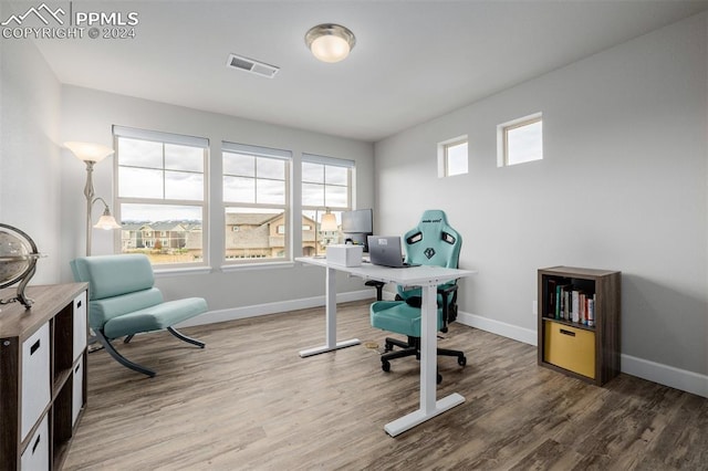 office space featuring wood-type flooring and a wealth of natural light