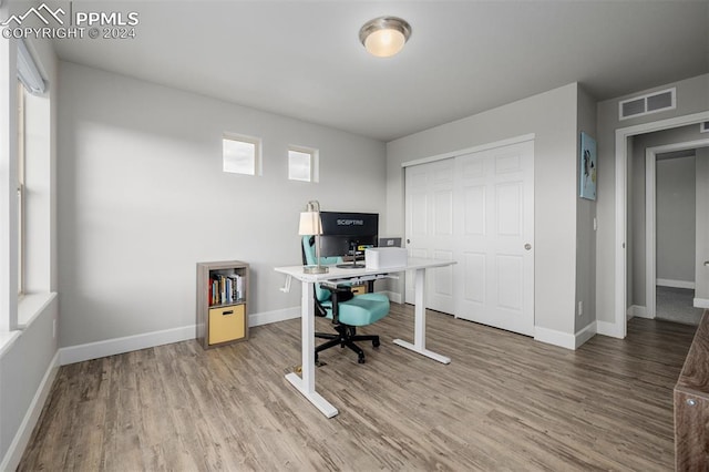 office featuring wood-type flooring