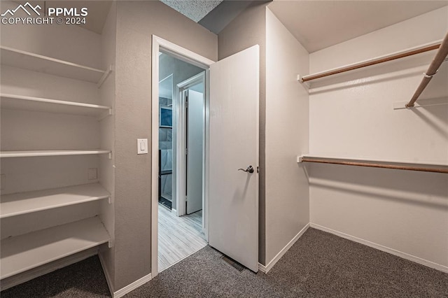 walk in closet with carpet flooring