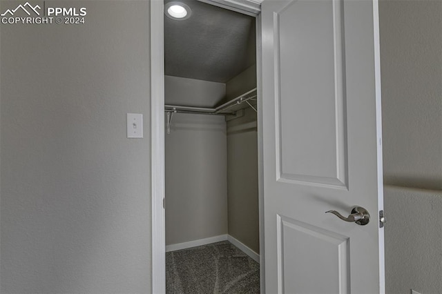 spacious closet with carpet flooring