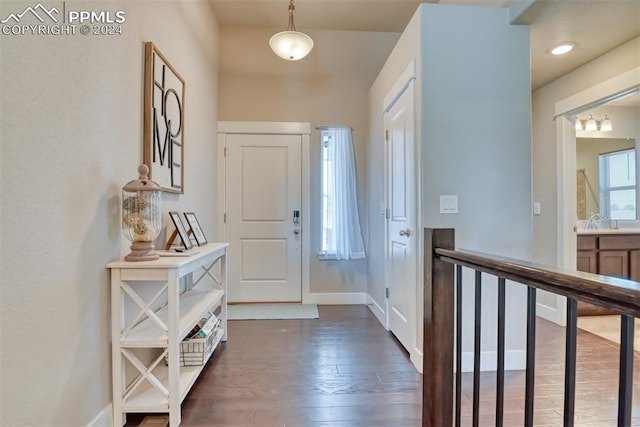 entrance foyer with dark hardwood / wood-style flooring