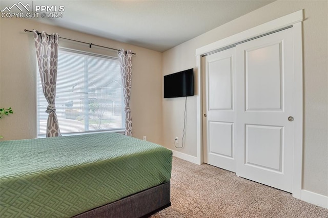 bedroom featuring carpet floors and a closet