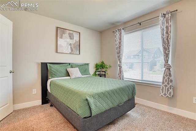 carpeted bedroom with multiple windows