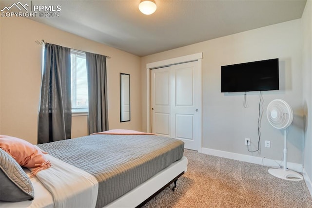 carpeted bedroom with a closet