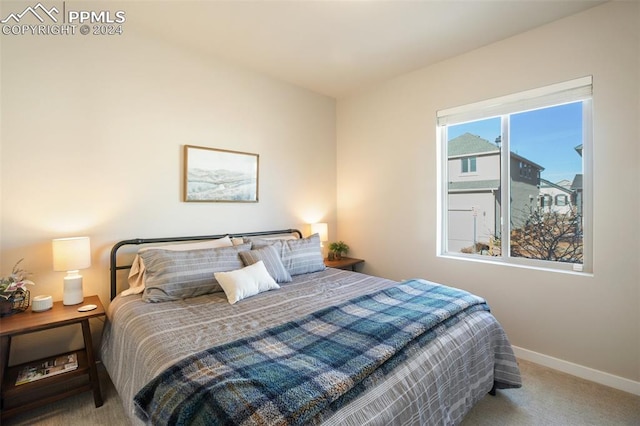 view of carpeted bedroom