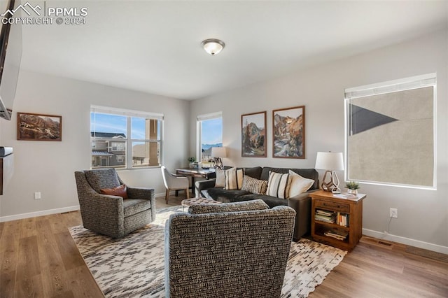 living room with hardwood / wood-style floors