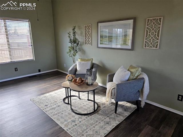 living area with dark hardwood / wood-style floors