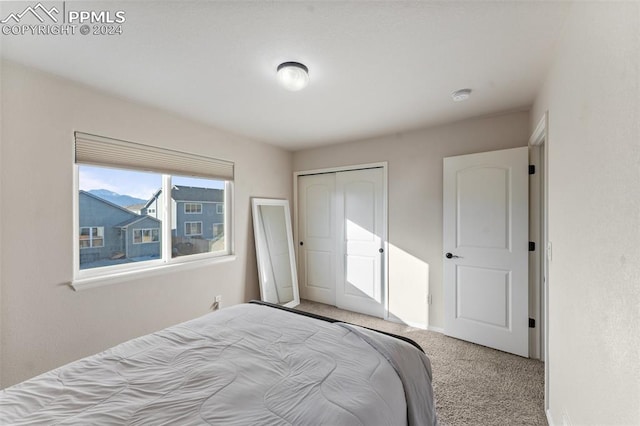 bedroom featuring carpet flooring and a closet