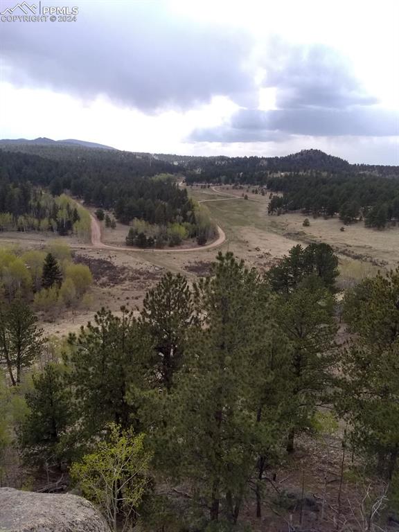 249 Whispering Pines Dr, Florissant CO, 80816 land for sale