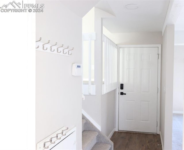 doorway featuring dark hardwood / wood-style flooring