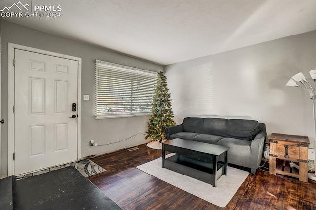 living room featuring dark wood-type flooring