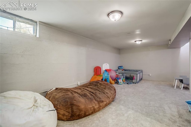 recreation room featuring carpet flooring