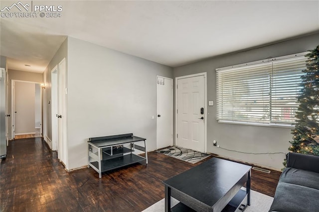 living room with dark hardwood / wood-style floors