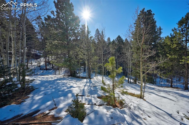 412 Princess Rd, Cripple Creek CO, 80813 land for sale