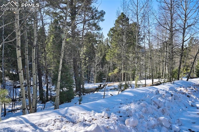 Listing photo 3 for 412 Princess Rd, Cripple Creek CO 80813