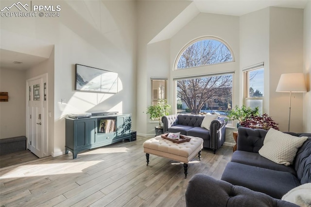 living room featuring light hardwood / wood-style floors and a towering ceiling