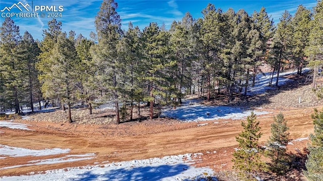 79 Huntsman Cir, Florissant CO, 80816 land for sale