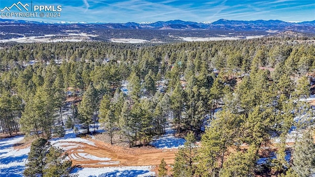 Listing photo 2 for 79 Huntsman Cir, Florissant CO 80816