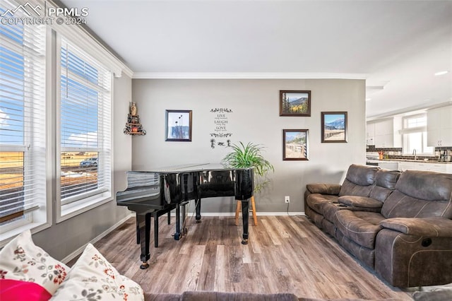 living area with sink, plenty of natural light, light wood-type flooring, and ornamental molding