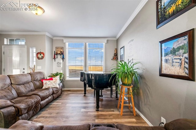 living room featuring wood-type flooring and crown molding