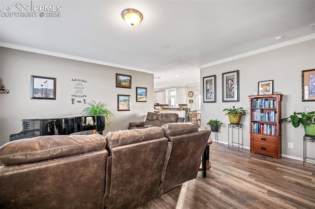 living room featuring hardwood / wood-style flooring and ornamental molding