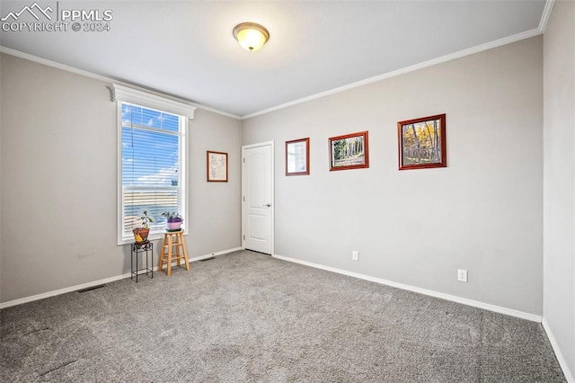 spare room featuring carpet flooring and crown molding