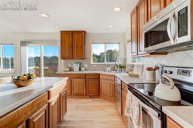 kitchen featuring sink, light hardwood / wood-style flooring, a healthy amount of sunlight, and appliances with stainless steel finishes