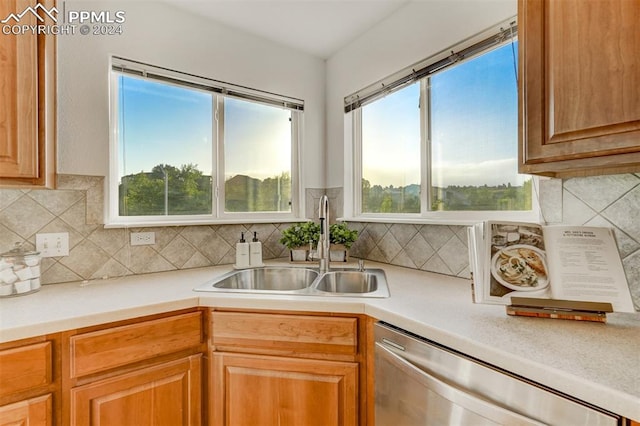 kitchen featuring decorative backsplash, a healthy amount of sunlight, sink, and stainless steel dishwasher