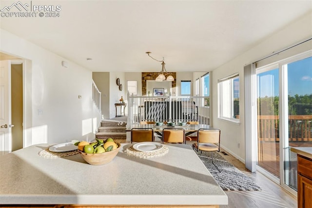 interior space featuring light hardwood / wood-style flooring and pendant lighting