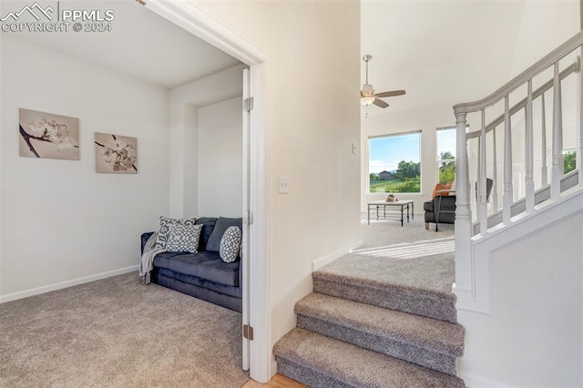 staircase featuring carpet flooring and ceiling fan