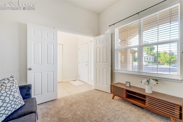 living area with light carpet