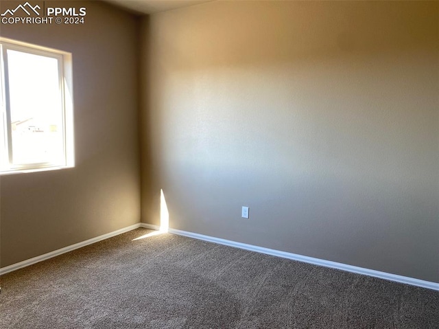 spare room with carpet floors