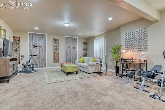 living room featuring carpet flooring and a textured ceiling