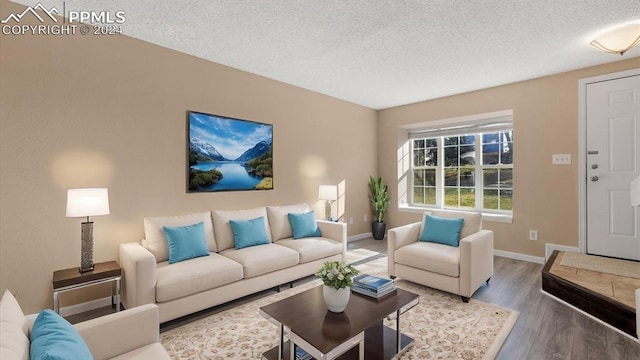 living room featuring a textured ceiling and hardwood / wood-style flooring