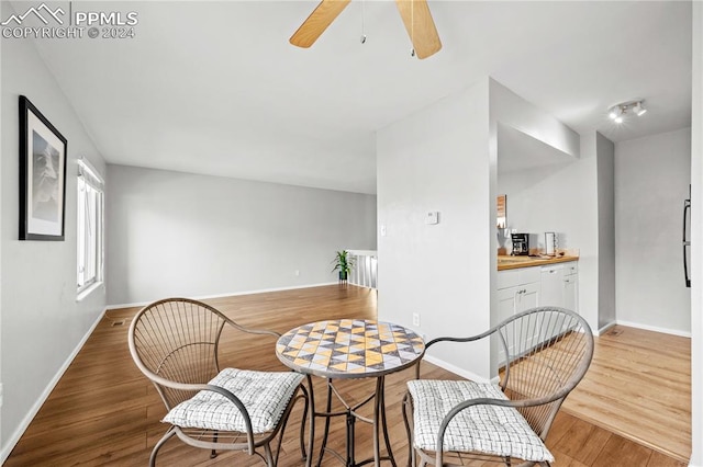 living area featuring ceiling fan and hardwood / wood-style floors