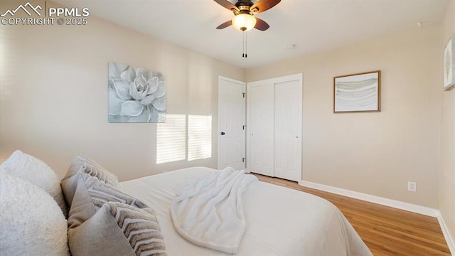 bedroom featuring ceiling fan, a closet, and wood-type flooring