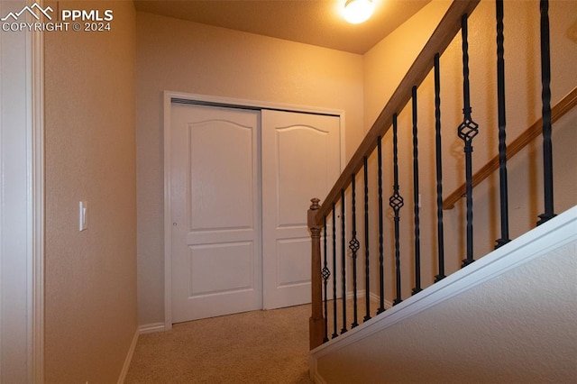 stairway with carpet floors